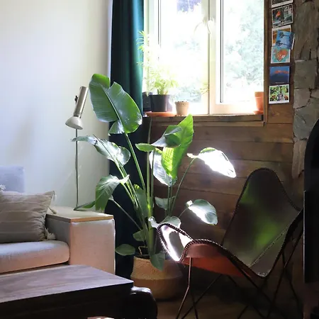 아파트 W Stylu Boho 60m2