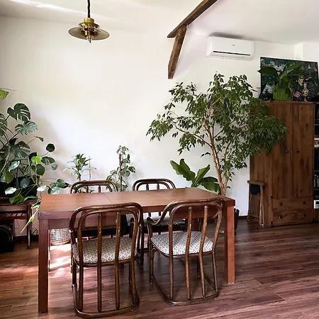 W Stylu Boho 60m2 아파트 *