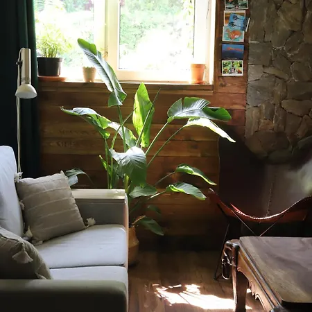 W Stylu Boho 60m2 公寓 *