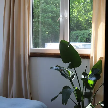 W Stylu Boho 60m2 Apartment Bydgoszcz