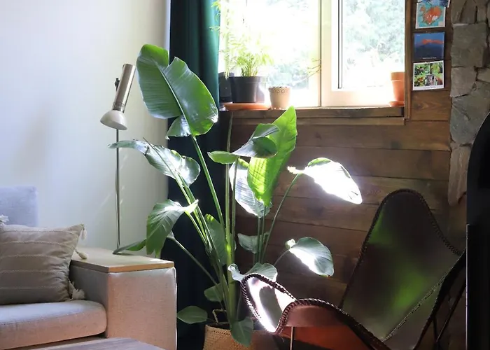 Apartment W Stylu Boho 60m2