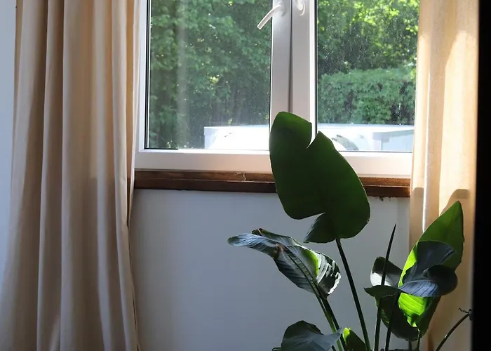 W Stylu Boho 60m2 Apartment Bromberg